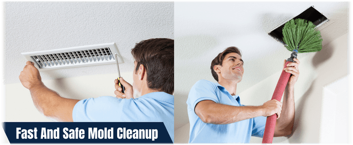 Air Duct Mold Removal in Burke VA